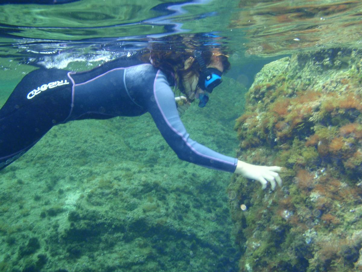Alberg Costa Brava Llança Dış mekan fotoğraf